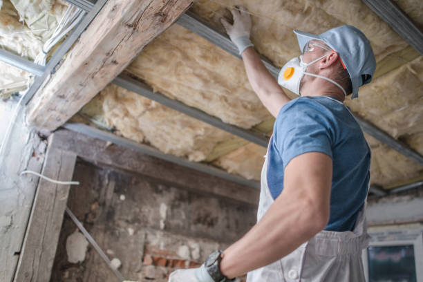 Best Insulation Removal  in Lake City, SC