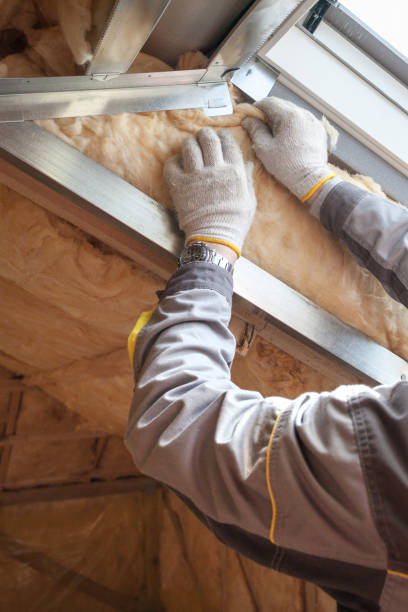 Best Best Insulation Companies  in Lake City, SC