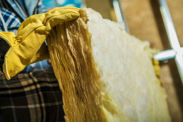Best Energy-efficient Insulation  in Lake City, SC