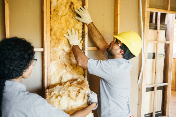 Best Home Insulation Services  in Lake City, SC