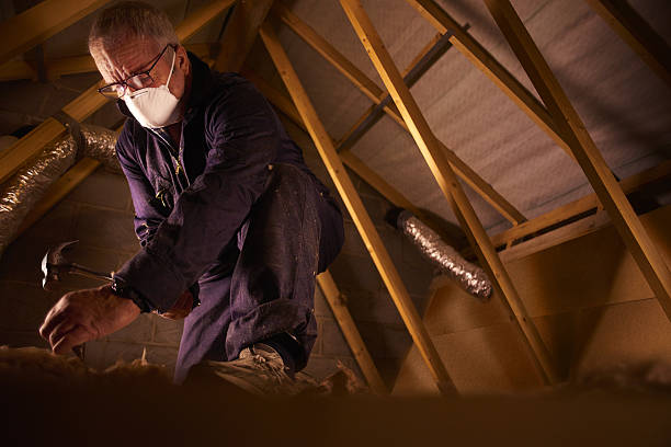 Insulation Inspection Services in Lake City, SC